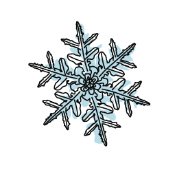 snowflake illustration small