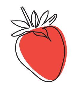 Strawberry Fruit illustration